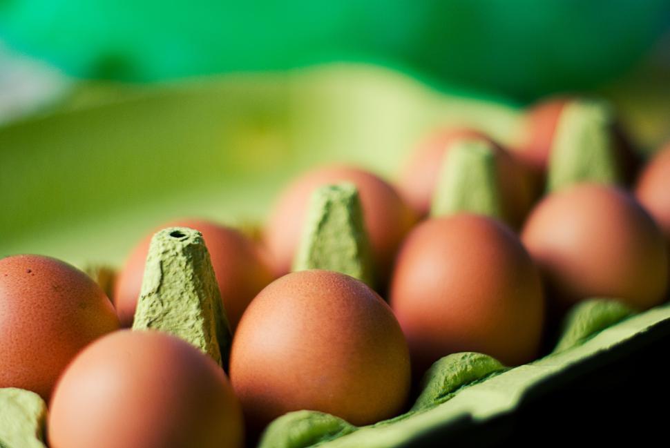 Free Image of Close-up of a carton holding twelve brown eggs in an organized array. 