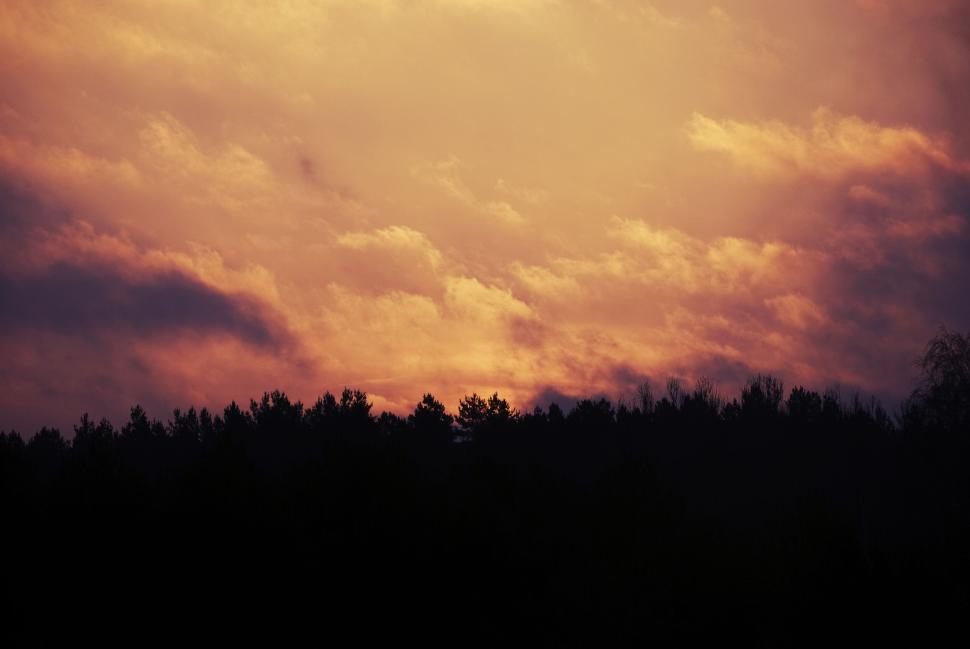 Free Image of Sunset over a forest with silhouetted tree line and colorful sky. 