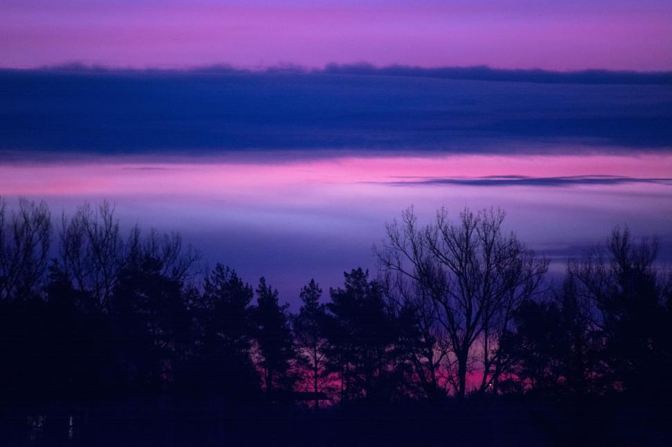 Free Image of Scenic view of trees silhouetted against a purple sunset sky. 