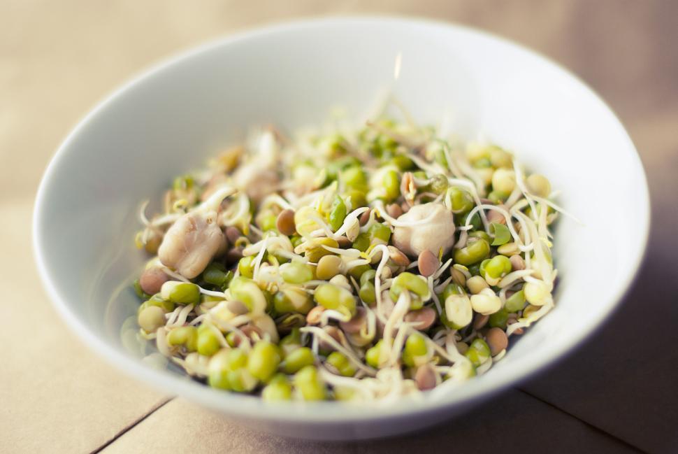 Free Image of Healthy sprouted salad with beans and greens in white bowl 