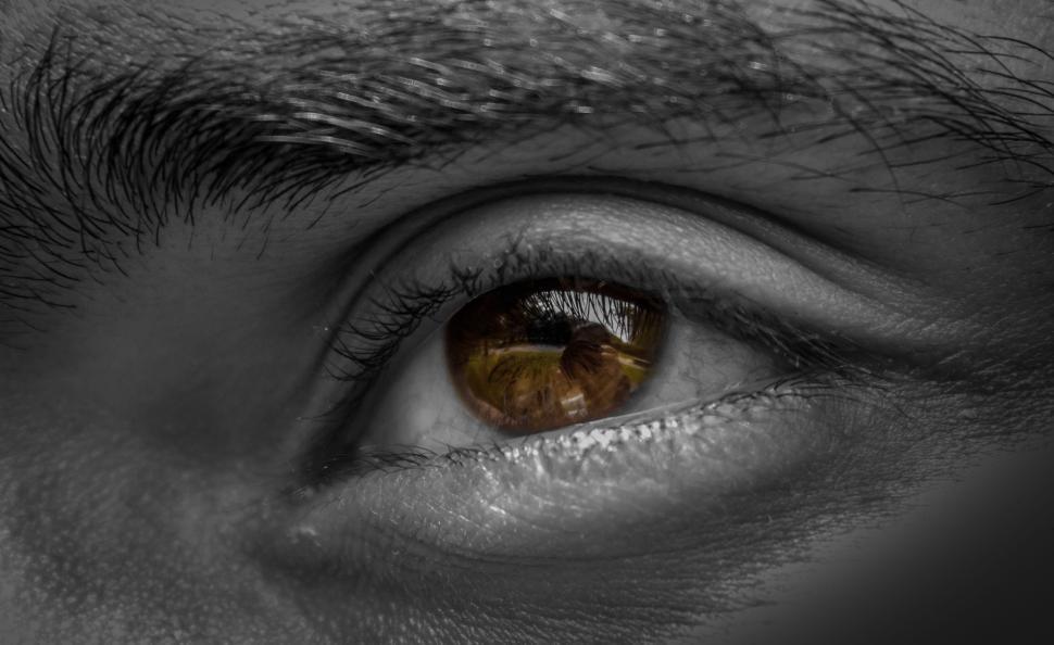 Free Image of Macro shot of a human eye with brown iris and reflecting light 