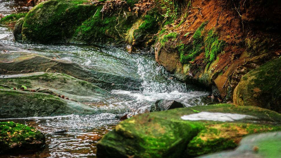 Free Image of Flowing stream through moss-covered rocks in nature 