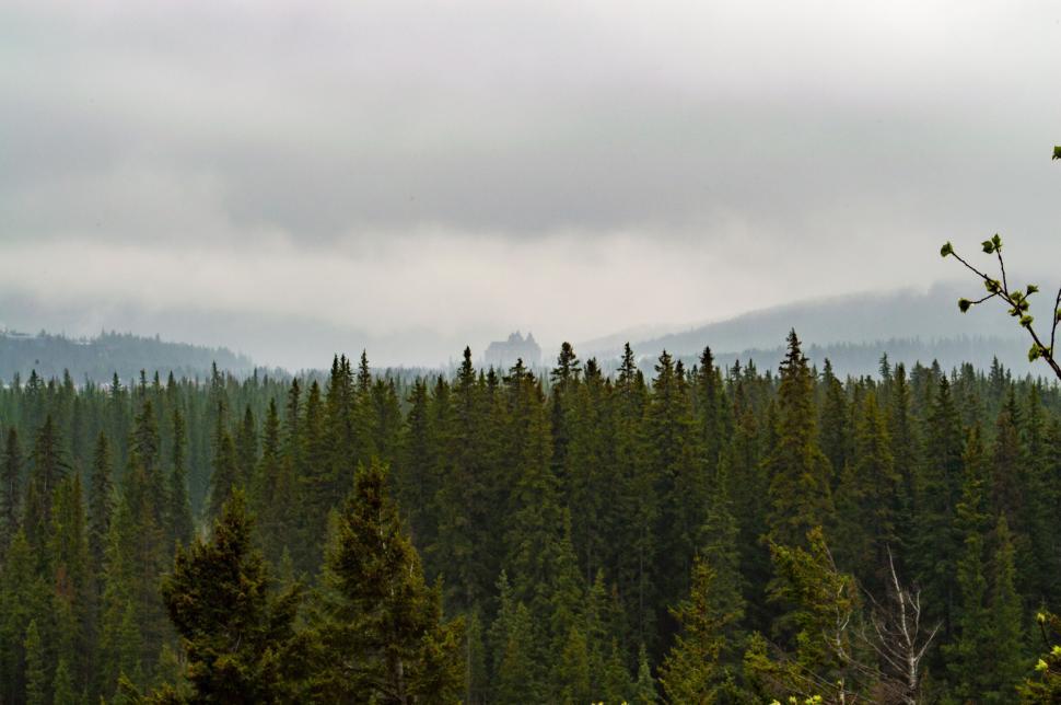 Free Image of Mist draped forests with mountains in the distant background 