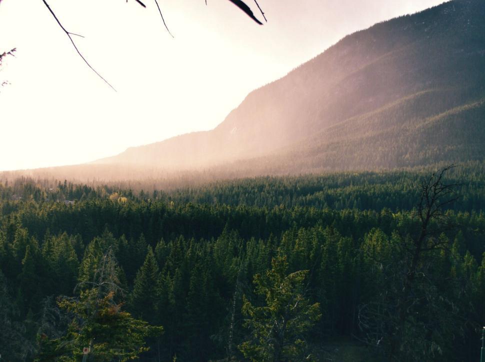 Free Image of Mist enveloping lush green mountains, creating scenic beauty 