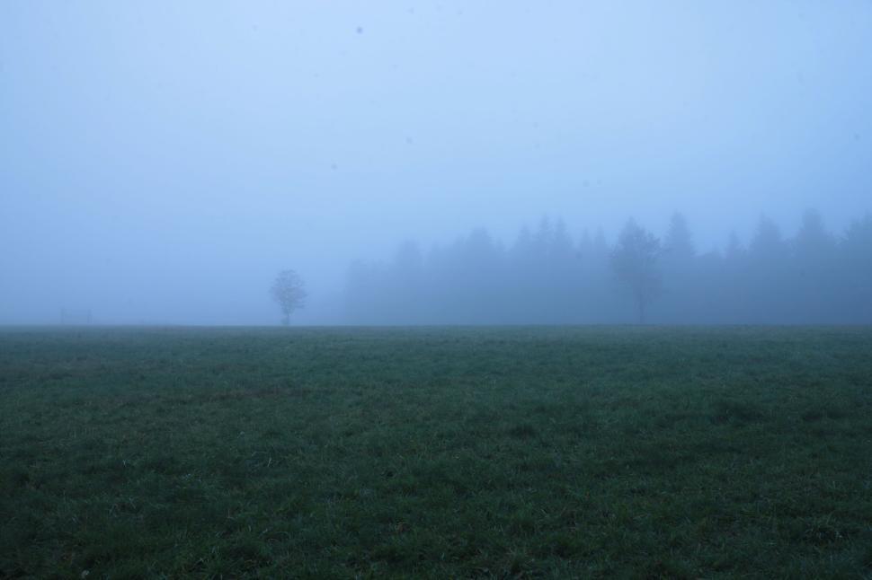 Free Image of Foggy morning in a field with distant trees barely visible 