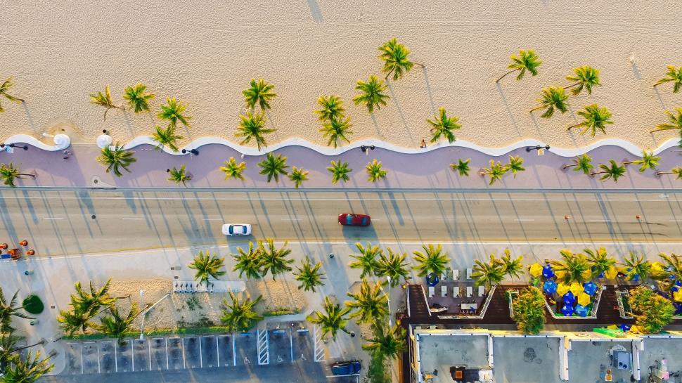 Free Image of Top-down image of a palm-lined coastal road with golden sand 