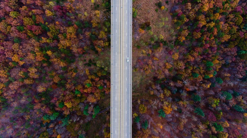 Free Image of Isolated road cutting through dense colorful autumn forest 