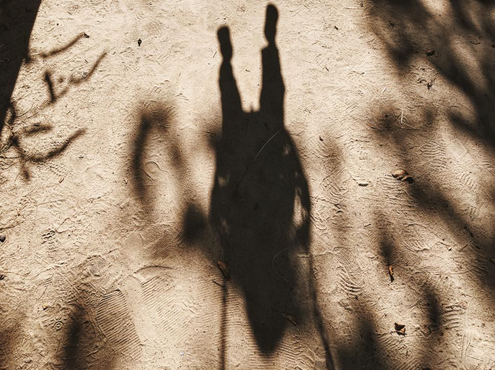 Free Image of Shadow silhouette of two people on sandy ground with tree branches 