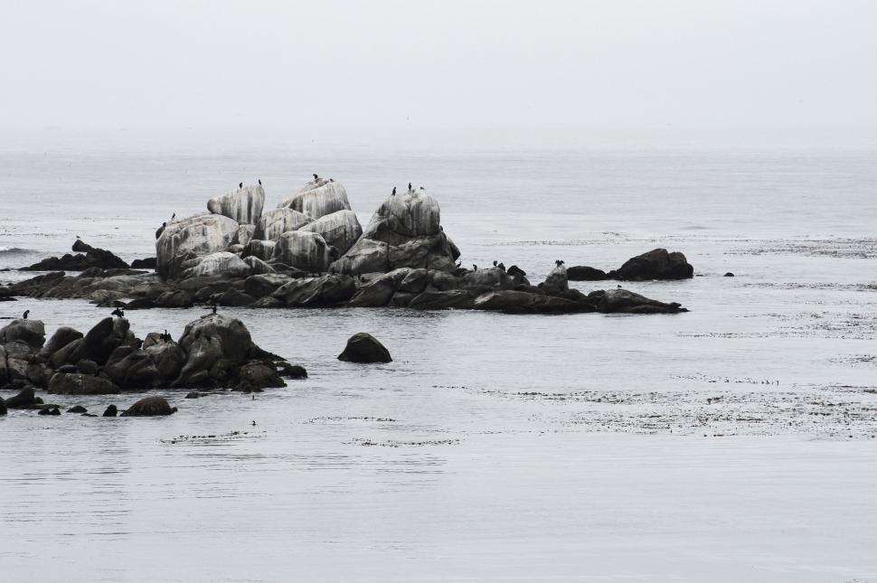 Free Image of Rocky seaside with birds perched on rocks in calm ocean water. 