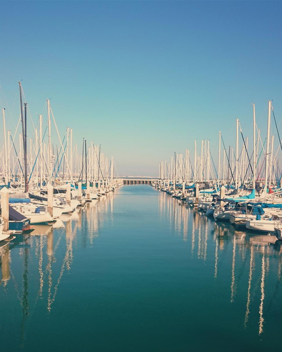 Free Image of Marina filled with sailboats under clear blue sky on a sunny day. 