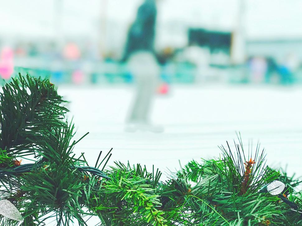 Free Image of Close-up of green Christmas garland with blurred winter background. 