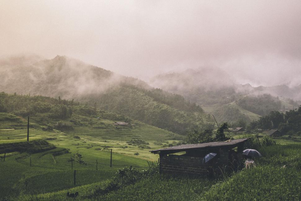 Free Image of Foggy mountainous landscape with green rice fields and a hut. 
