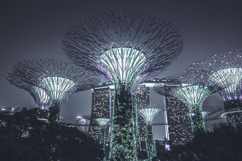Free Image of Illuminated futuristic trees at night in an urban park, Singapore. 