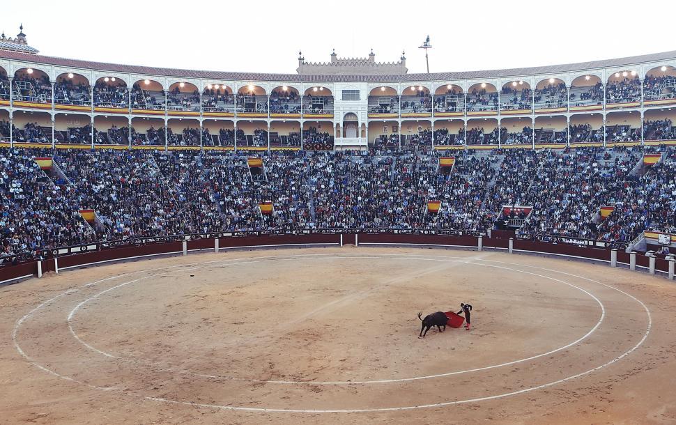 Free Image of Large bullfighting arena packed with spectators at sunset 