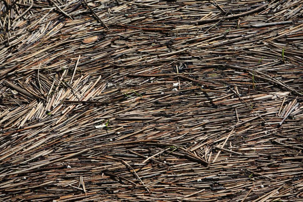 Free Image of Close-up of dry straw textures forming a dense natural layer. 