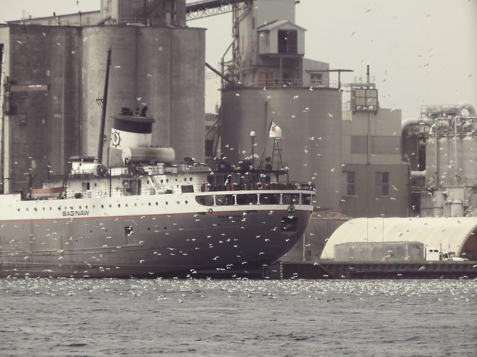 Free Image of Industrial ship by the dock with seagulls flying overhead 