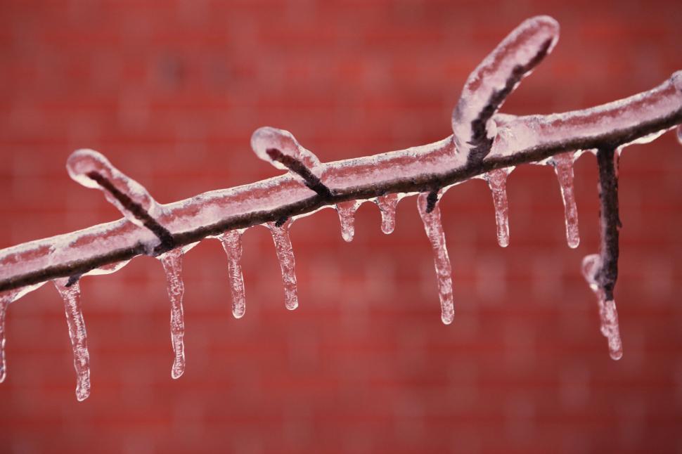 Free Image of Icy branch with icicles forming in wintertime against brick background 