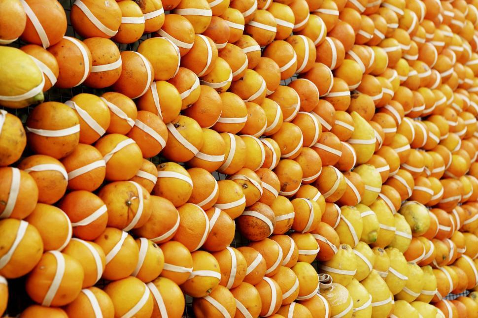 Free Image of Rows of orange and lemon citrus fruits organized in a market display 
