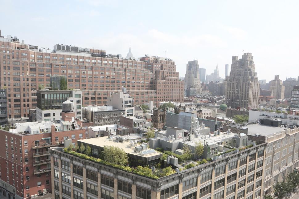 Free Image of Urban rooftop garden with city buildings in the background, daytime. 