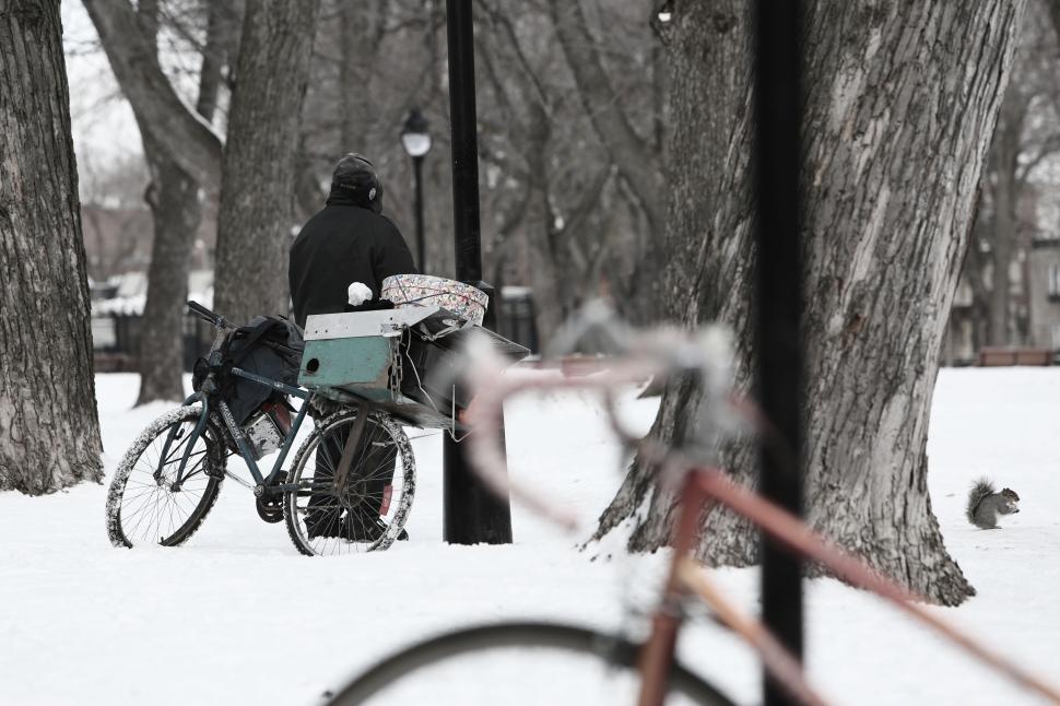 Free Image of Winter park scene with person on bicycle amidst snow-covered trees. 