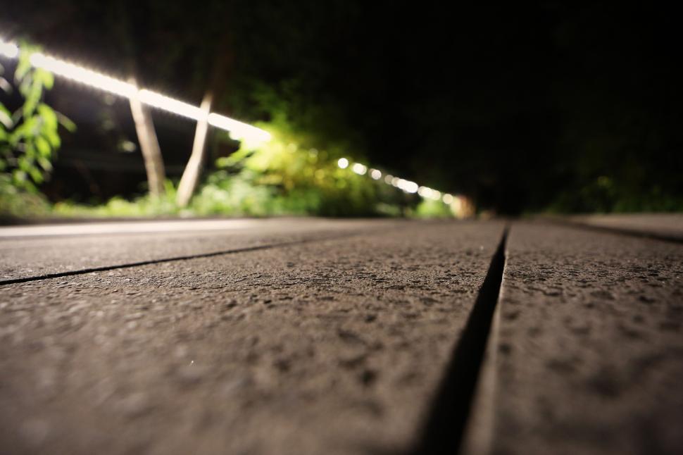 Free Image of Nighttime boardwalk with illuminated pathway and greenery. 