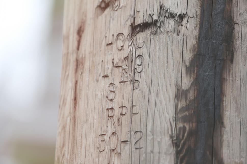 Free Image of Weathered wooden utility pole with numerous deeply engraved markings 