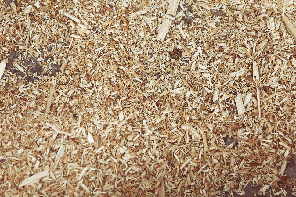 Free Image of Close-up of wooden chips scattered on the ground in irregular pattern. 
