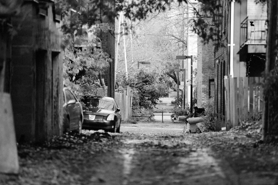 Free Image of Quiet Urban Alleyway with Parked Car and Overhanging Trees 