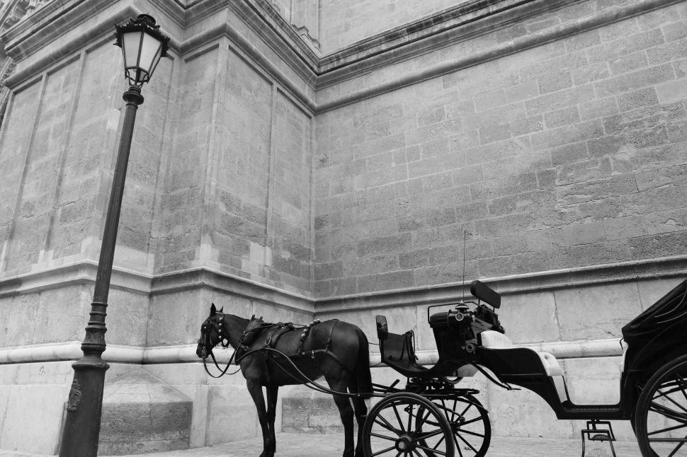 Free Image of Horse-drawn carriage in front of old stone building downtown. 