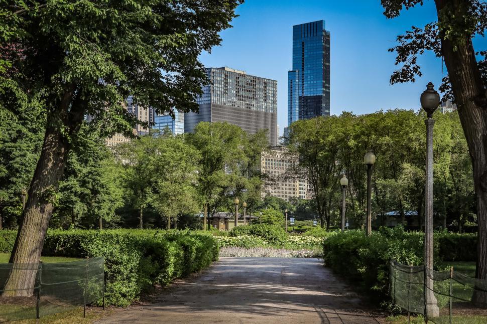 Free Image of Reflections of Modern Skyscrapers Behind Lush Greenery in the Park 