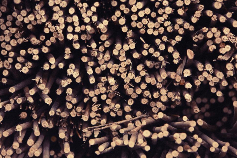 Free Image of Close-up view of stacked wooden logs showcasing natural textures 