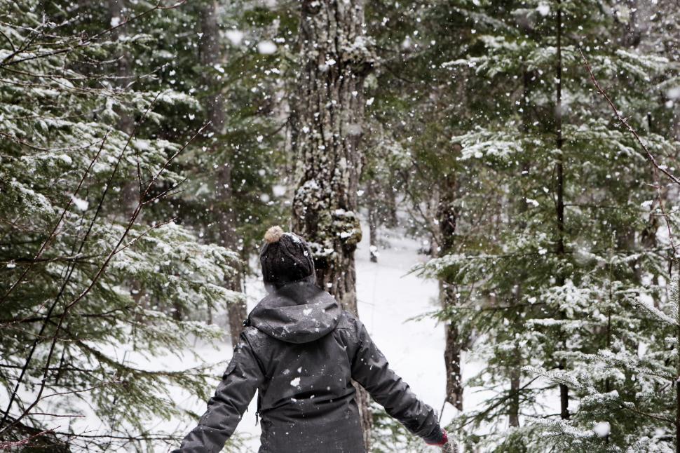 Free Image of Person in winter clothes enjoying snowfall in a dense forest. 