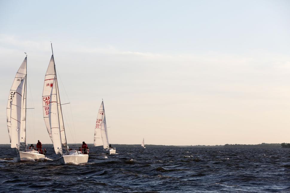Free Image of Sailboats racing on a windy blue sea under a clear sky 