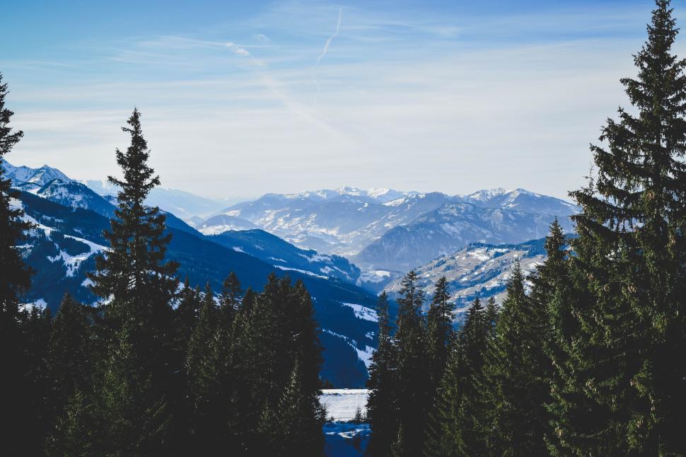 Free Image of Snow-capped mountains view through dense forest on a clear day. 