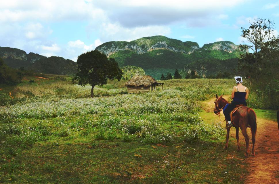 Free Image of Person on horseback rides through a picturesque countryside trail 