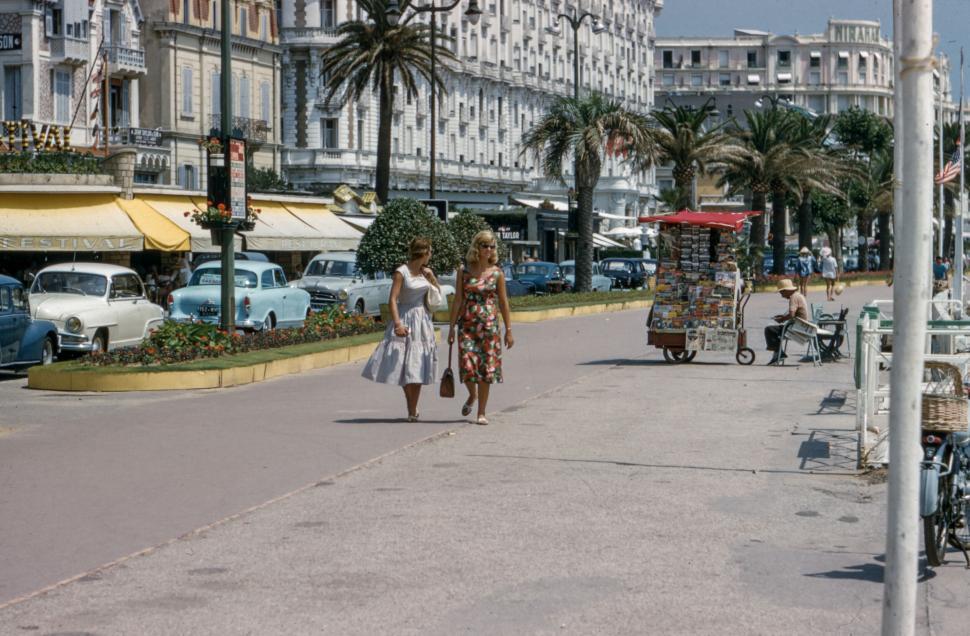 Free Image of Sunny boulevard with palm trees, shops and elegant pedestrians 