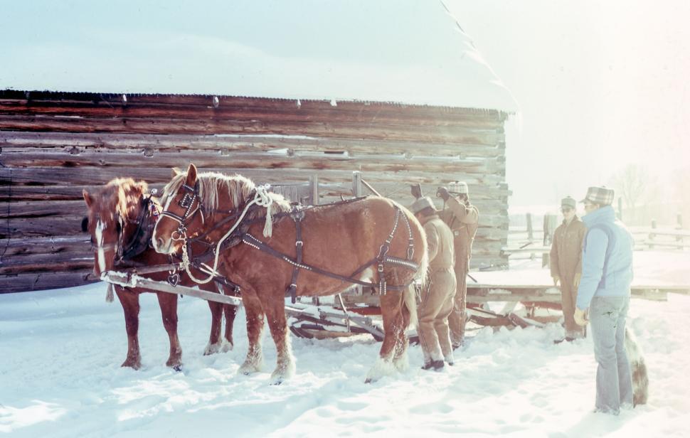 Free Image of Men harnessing horses near a wooden barn in snowy landscape 