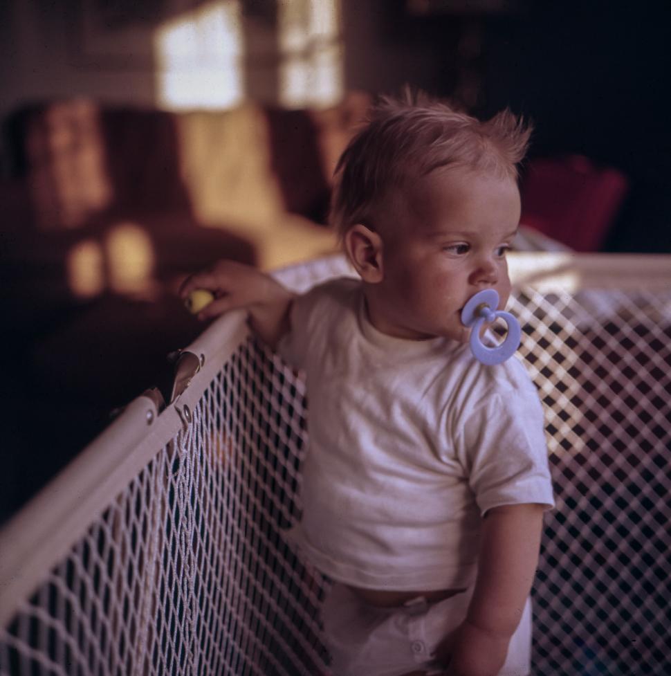 Free Image of Young child stands in playpen, holding onto the mesh fence sides. 