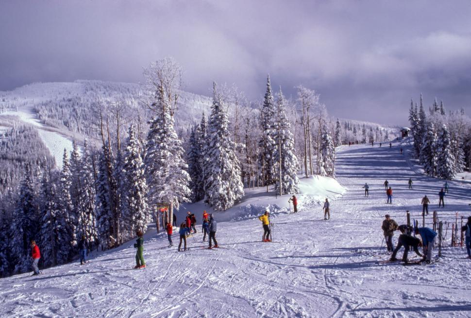 Free Image of Skiers enjoying a snowy slope with trees and mountains in view 