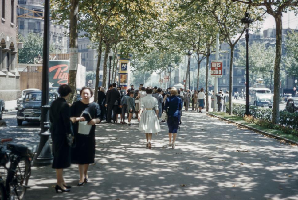 Free Image of Urban street in Europe with people walking, trees lining avenue. 