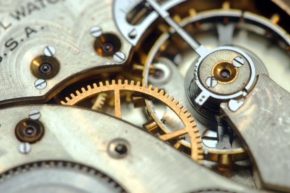 Free Image of Watch gears and springs 