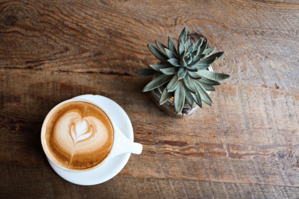 Free Image of Latte art coffee cup next to succulent plant on wooden table 