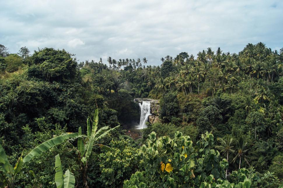 Free Image of A majestic waterfall in the middle of a lush tropical forest paradise. 