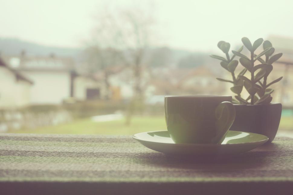 Free Image of Green cup of coffee beside succulent plant in scenic outdoor setting. 