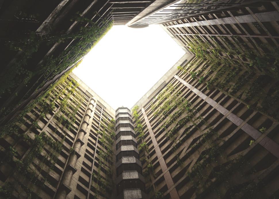 Free Image of Internal view of a building with growing vines and open sky 