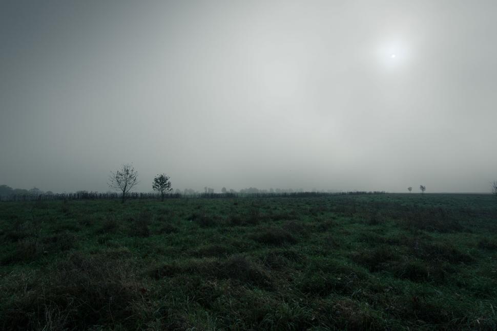 Free Image of Foggy morning landscape with green field under misty sky scenery 