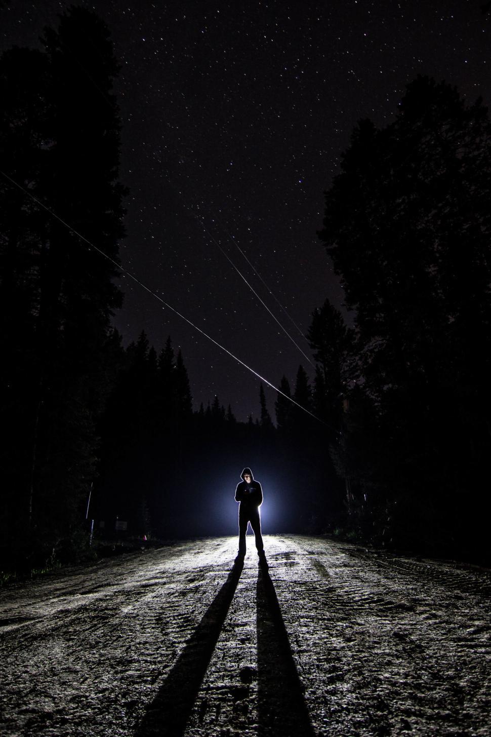 Free Image of Silhouette of a person standing on a forest road under starry sky 