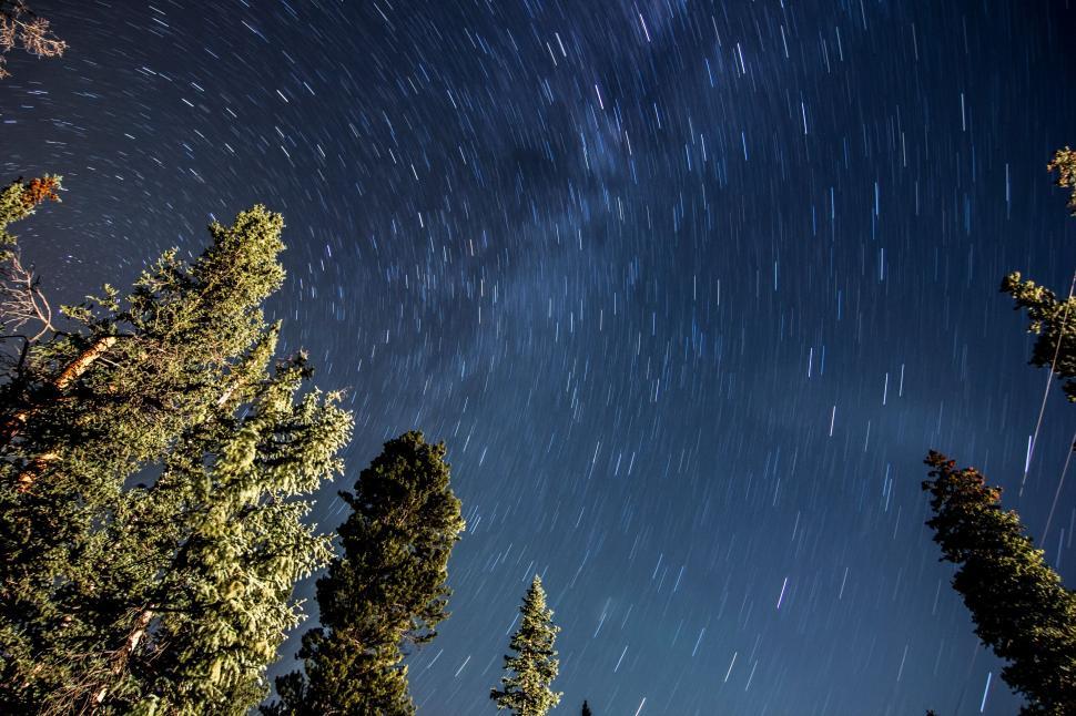 Free Image of Star trails form circular patterns in night sky over forest 