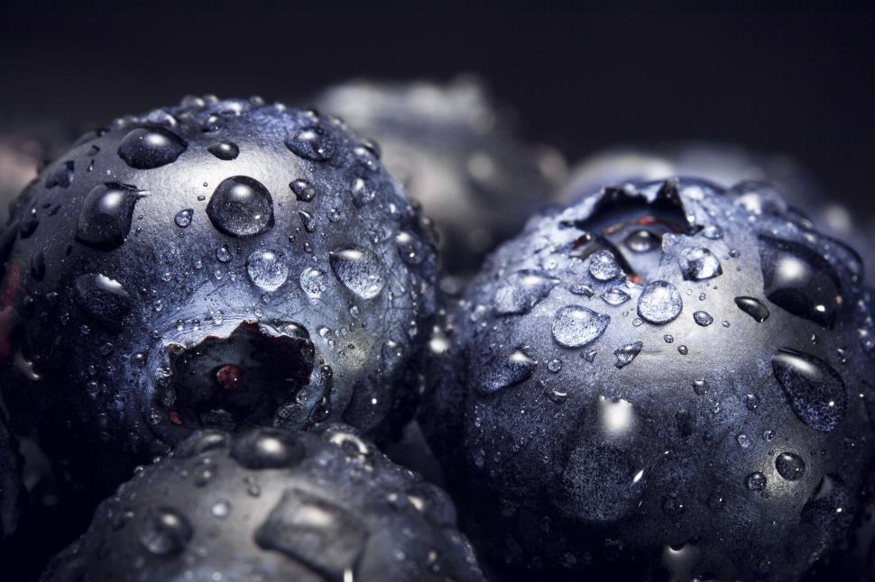 Free Image of Close-up of fresh blueberries with water droplets on their surface. 