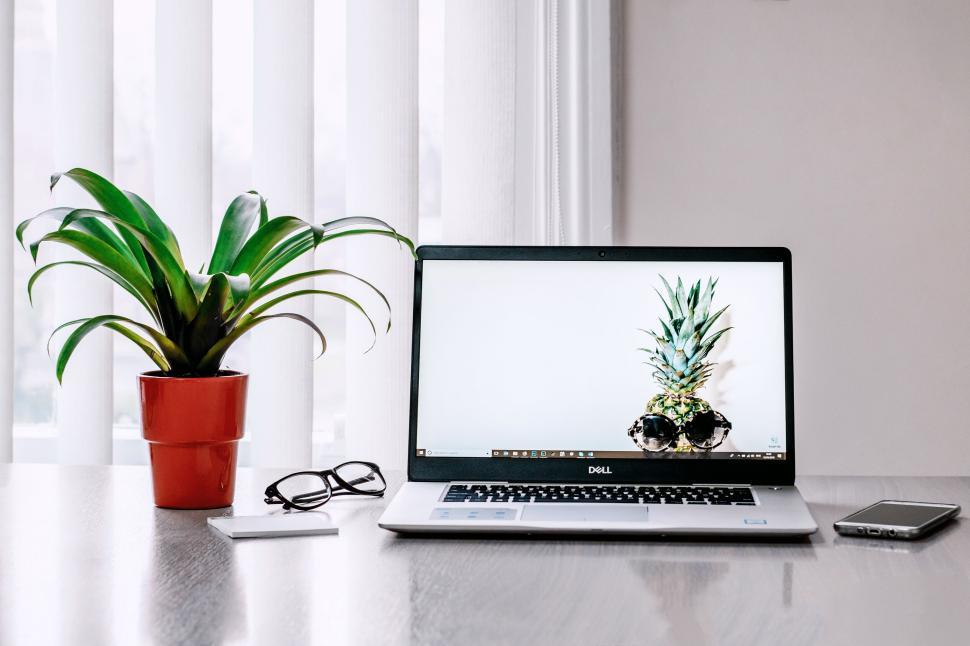 Free Image of Laptop on desk next to plant, phone, glasses in modern workspace. 